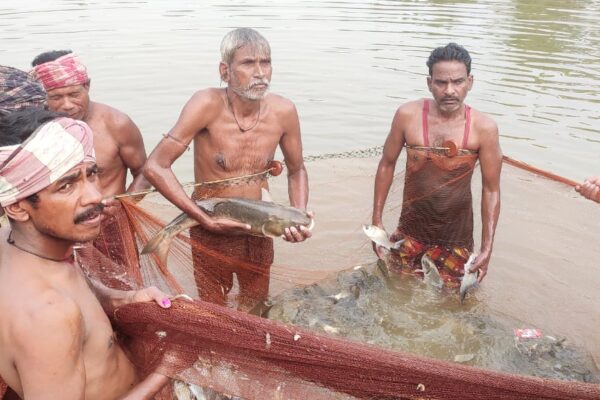 Climate Resilient Production System - Fisheries, OIIPCRA, Ganjam district, Odisha