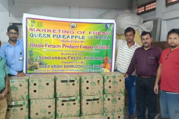 Market Linkage Services,Jirania FPO, West Tripura Tripura pineapple 2022