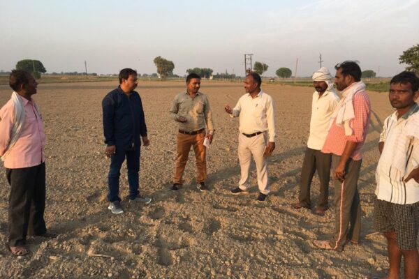 Potato Seed Production - Sirsaganj, UP, Potato Multiplication