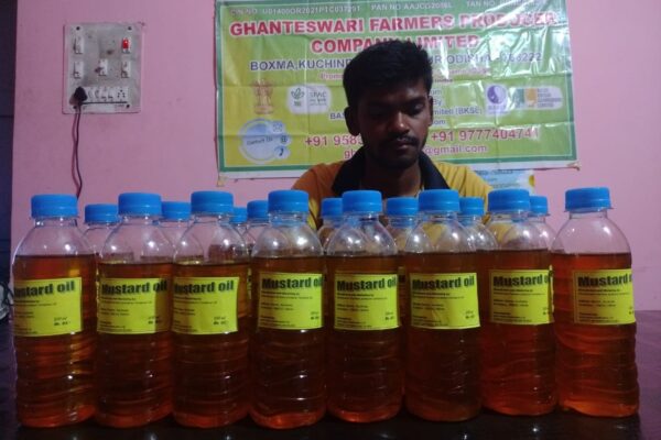 Value Addition Services - Mustard Oil Ghantswari FPO, Sambalpur, Odisha