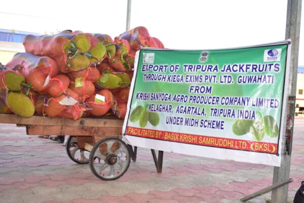 Tripura Jackfruit being exported to London, UK, 2021