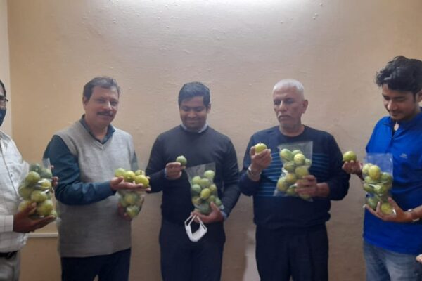 Tripura lemon being marketed in Bhubaneswar, Odisha 2022