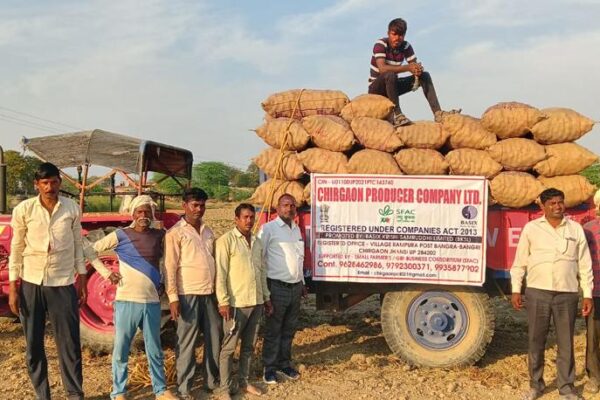 Food Potato Sales, Firozabad, UP, 2022