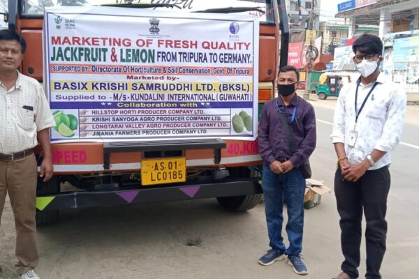 Tripura jackfruit being exported to Germany, 2021