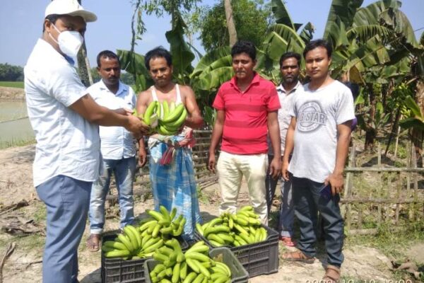 G-9 Banana Marketing on Supreme Brand, West Bengal, 2021