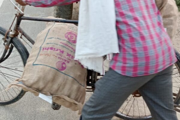 Input Facilitation - Farmer taking quality Potato seeds, Lucknow, UP, 2022