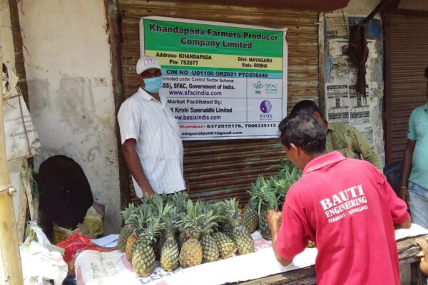 Pineapple sales counter, Khandapada FPO, Nayagarh, Odisha, 2022