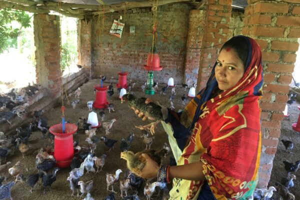 Poultry Services to Woman entrepreneur, Satrusola, Ganjam, Odisha,2022