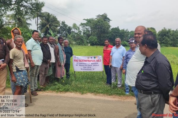 Ragi Demonstration at Hinjilikatu, Ganjam, Odisha, OIIPCRA Project, 2022