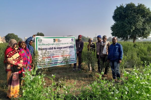 Sikandarpur Sarosi FPO Exposure visit to IIPR, Kanpur on Green Pea Demo of AP-3, Kanpur, UP 2023