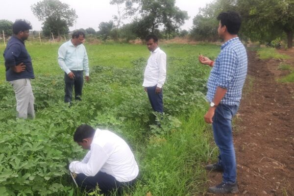 Towards Sustainable Organic agriculture, Telangana, India, 2022