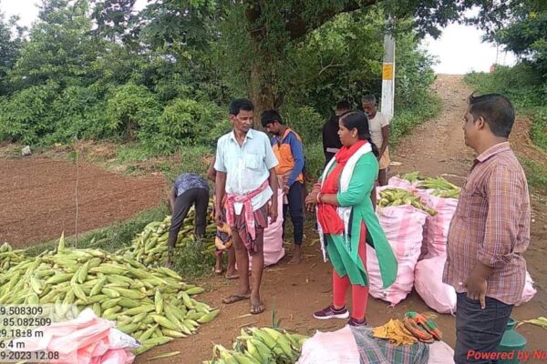 1 Mr. Dandapani Nahak, beneficiary of OIIPCRA Project, SO Zone-1 selling Sweet Corn at remunerative price. Khalikote, Ganjam District, Odisha on 4th Sept 2023