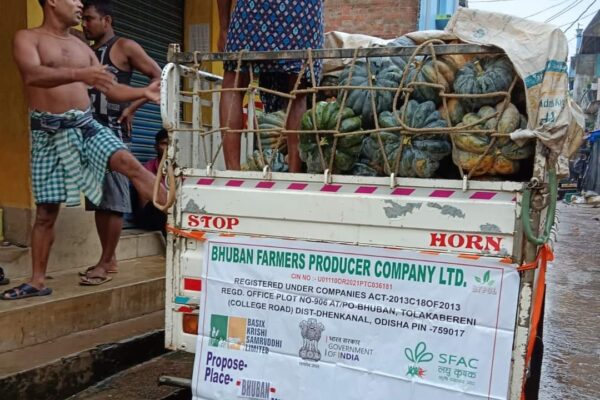 Bhuban Farmers Producer Company Limited facilitated 2 tons of Pumpkin through eNAM, Kamakhyanagar, Dhenkanal, Odisha on 15th Sept 2023