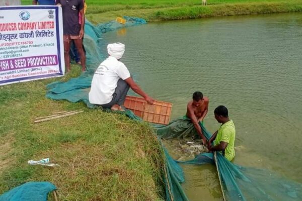 Promotion of Scientific fish Production; Tarkulwa Fish Producer Company Limited, Deoria district, Uttar Pradesh on Scientific Fish Production. 19th August 2023