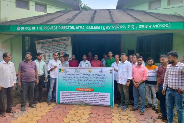 Basix Krishi facilitated its 7 FPOs of Odisha to participate in the “Convergence training on different schemes of Agriculture and Horticulture” conducted at CDAO office, Ganjam on 03-09-2024.