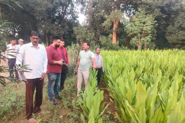 SFAC officials visited Bhadesar Mau PCL, Malihabad, Lucknow, Uttar Pradesh had an interaction session with FPO farmers along with a field visit covering Wheat Flour Mill, Farm Machinery Bank, Turmeric cultivation.