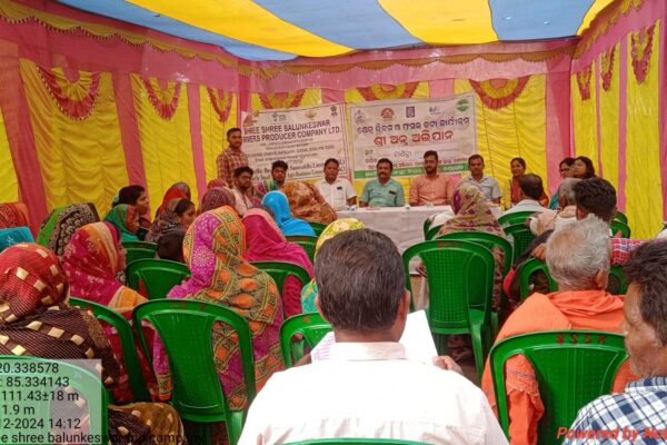 Shree Shree Balunkeswar FPO, Nayagarh district, Odisha conducted a Field Day Program on 6th December 2024 about “Shree Anna” (Millet crop).