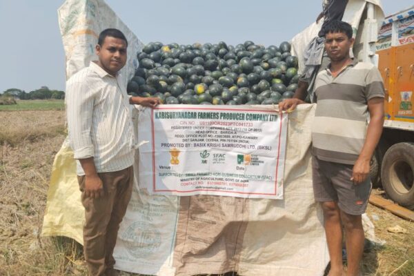 Realtime eNAM Inter-Mandi Online Trade. Kabisuryanagar Farmers Producer Company Limited, Ganjam district, Odisha sold 46.82 Quintal of Watermelon for Rs.23,410/- in APMC, Balugaon, to APMC, Hinjlicut, Odisha on 04-04-2025.