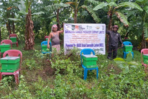 A practical handholding training on “Beekeeping & Production of Good Quality Honey” was organized for Daringbadi FPO, Kandhamal, Odisha by MBKPU facilitated by  Basix Krishi  & supported by  National Bee Board on 10-12 June’25.