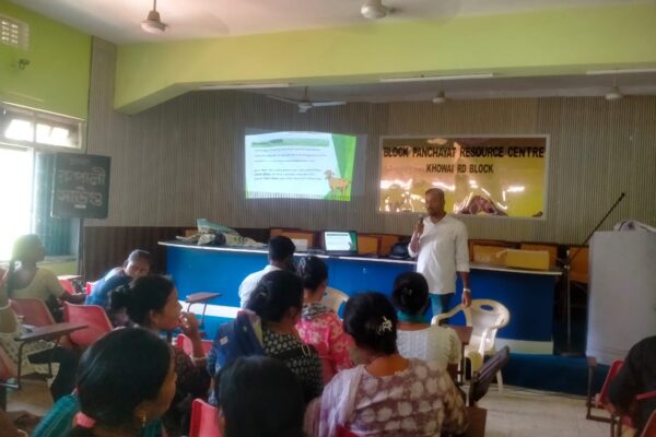 Basix Krishi Goatery Project Team under TRLM had conducted a training program for Producer Group at Poangbari Block, Tripura on 12th June 2025 on Package of Practices (PoP) for commercial goat farming.