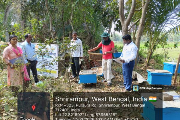 A practical handholding training on “Scientific Beekeeping & Production of Quality Honey” was organized on 17th March’26 for Vikdas Agro FPO & Pursurah FPO, Hooghly district, West Bengal by MBKPU facilitated by Basix Krishi & supported by National Bee Board & SFAC.